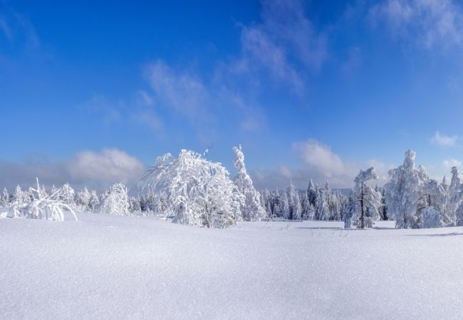 Adventszauber im Erzgebirge